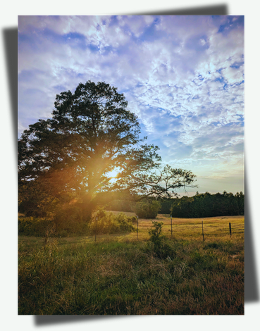 About-sanctuary-photo