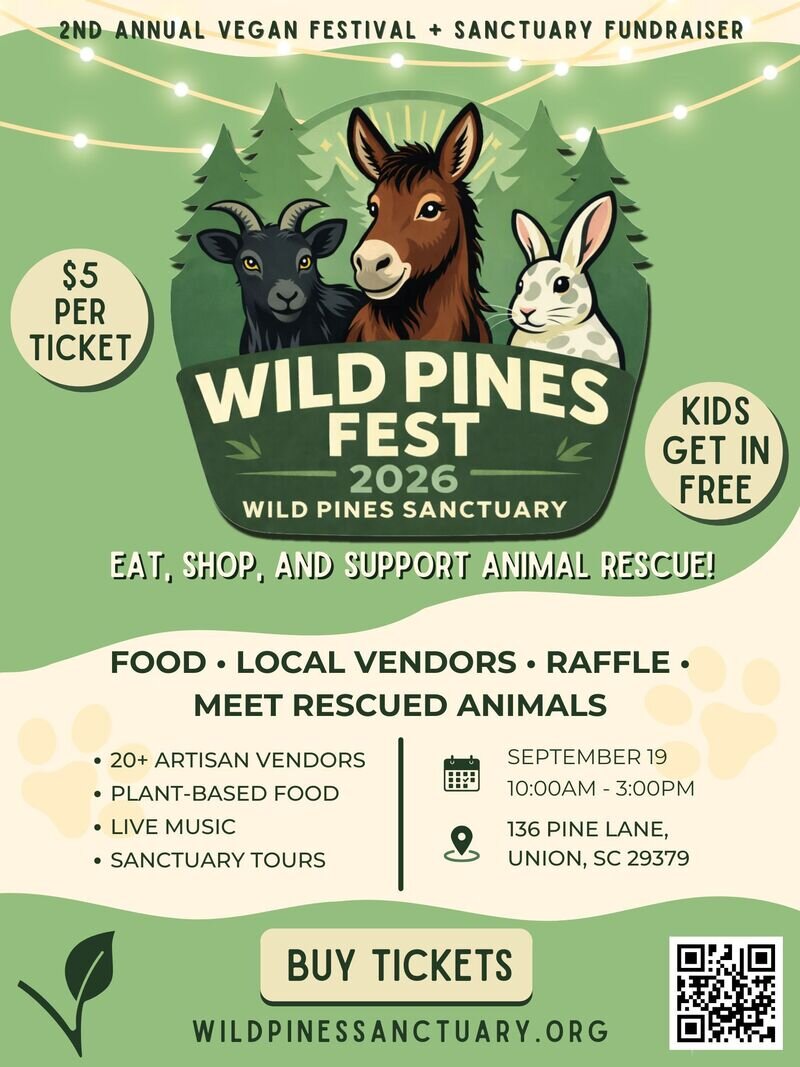 Wild Pines Fest