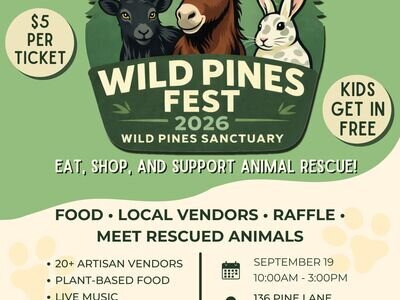 Wild Pines Fest