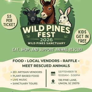 Wild Pines Fest