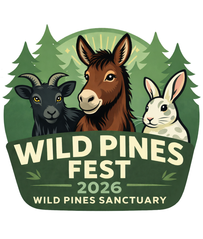 Wild Pines Fest