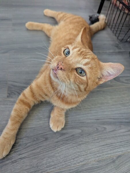 Copper