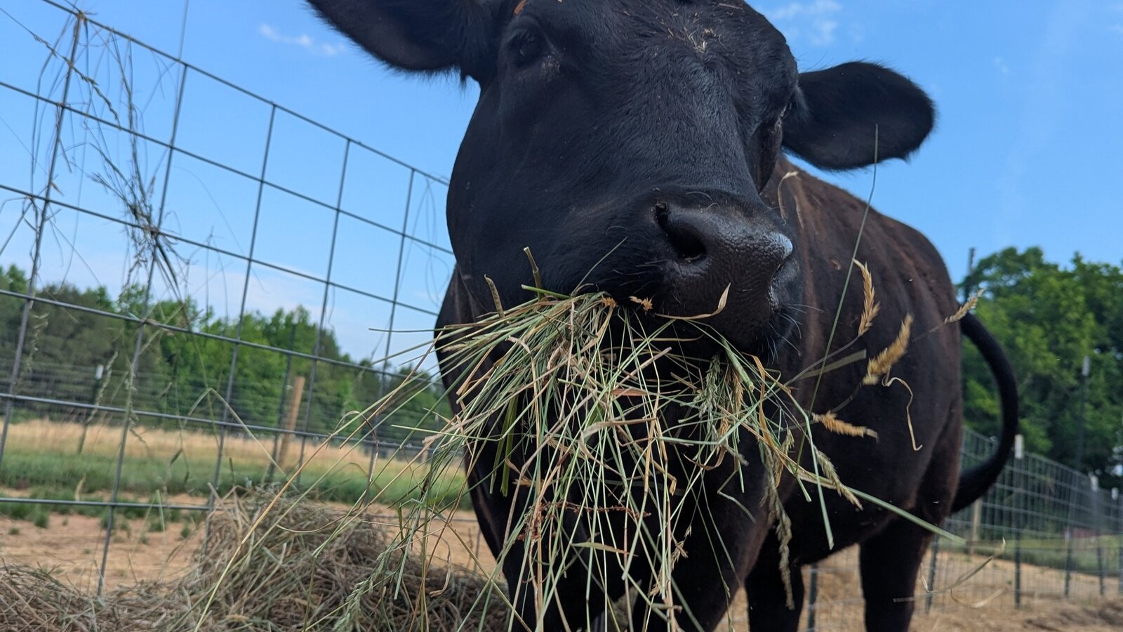 Every Dollar Doubled for Winter Hay