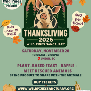 ThanksLiving 2026