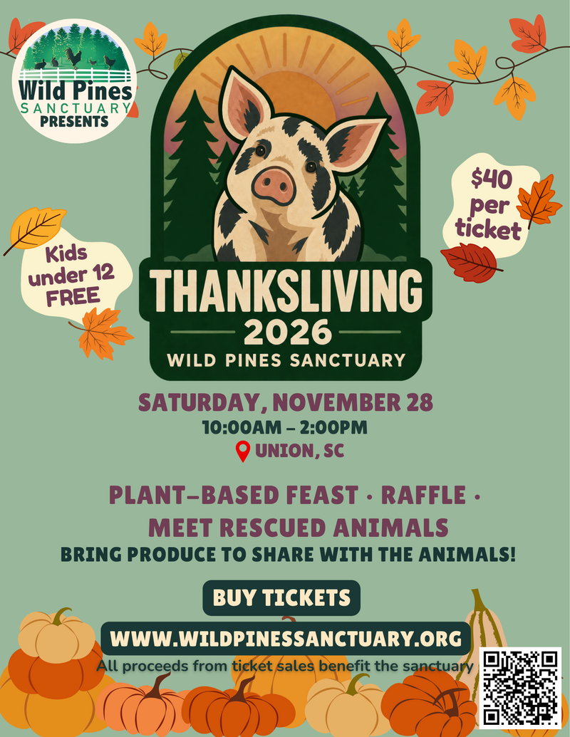 ThanksLiving 2026