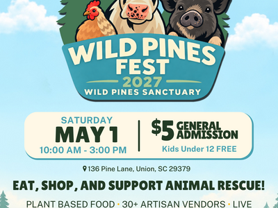 Wild Pines Fest 2027