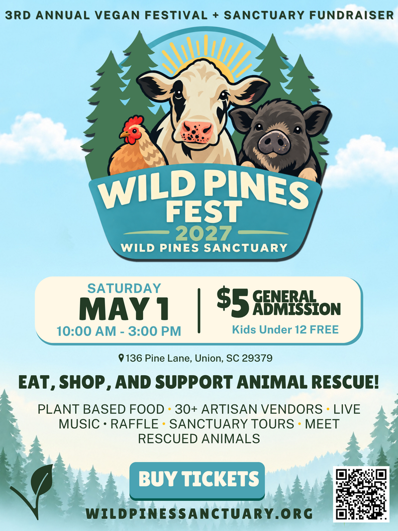 Wild Pines Fest 2027